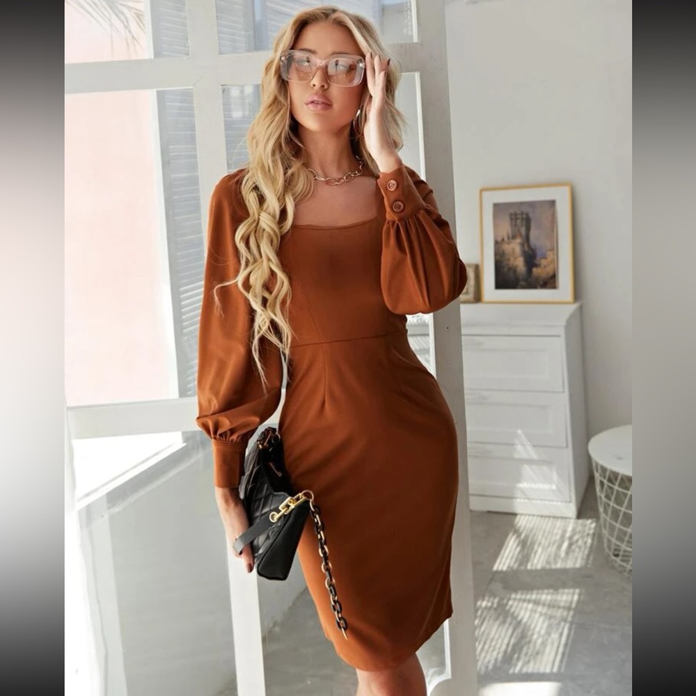 Autumn brown lantern sleeve dress
